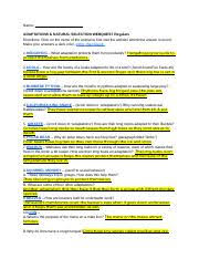 Natural selection, sexual reproduction, asexual reproduction, extinction. Adaptations Natural Selection Webquest Doc Name Adaptations Natural Selection Webquest Directions Click On The Name Of The Animal To Find Visit Course Hero