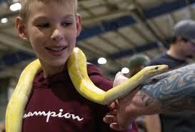Mr. Critters Reptile Expo draws in old reptile enthusiasts and new faces