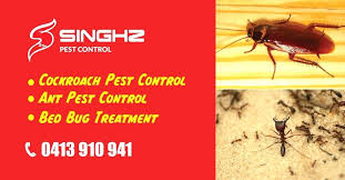 Aid Pest Control A Handy Chart Of Spiders And An Offer Apply