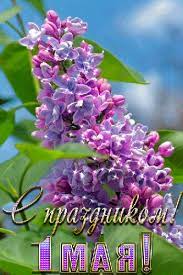 Чтобы в сердце вечный май полон был садов цветения. Mercayushaya Kartinka S Prazdnikom 1 Maya Montreal Botanical Garden Botanical Flowers