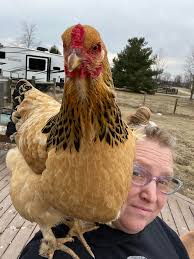 So there is a distinct possibility that there will be a substantial move in  my family's future. Approximately 8 hour drive. Will I be able to safely  transport them that distance? If