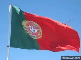 Do you want to discover its colours, history and meaning? Portuguese Flag In Lisbon On Make A Gif