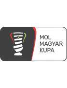 A győr az érd ellen játszhat az aranyéremért, míg az ftc a siófok. Magyar Kupa All Winners Transfermarkt