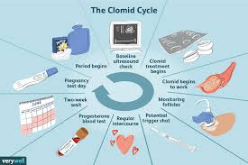 how to take clomid for infertility