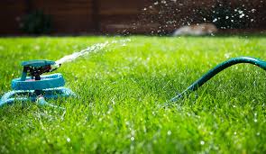 The best time of day to water your lawn is early in the morning, as the sun is rising. Best Time To Water Grass Lawn Watering Tips Gilmour