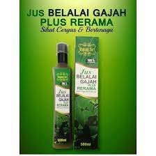Al ejib jus belalai gajah plus durian belanda 400 ml. Qoo10 Jus Belalai Gajah Plus Rerama Dietary Management