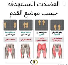 Pin by دفء الحياه on تمارين البطن in 2023 | Health facts fitness, Fitness  body, Abs workout
