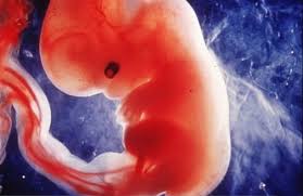 Chacun perd l'universalité de ces caractères, se referme sur son genre et intériorise ces représentations inconscientes et culturelles du masculin et du féminin. Le Mauvais Sexe La Presse