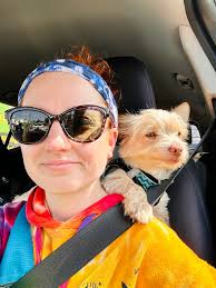 Getting ready for Halloween!!! Teddy is rocking his holiday inspired  Mohawk, what is your pet going to be for Halloween this year??? Drop pics  of your fur babies in their costumes from