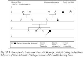 Family tree abbreviations used in family history research. Paediatrics Taking A Family History
