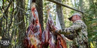Check spelling or type a new query. Elk Meat Care Warm Weather Precautions Elk101 Com Eat Sleep Hunt Elk
