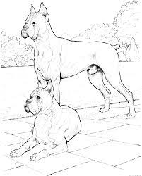Download and print these boxer dog coloring pages for free. Two Boxer Dogs Coloring Pages Printable