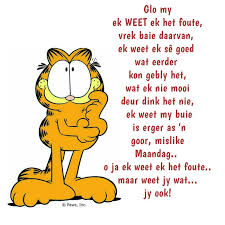 Pin By Nooi25 On Waarheid Wisdom Quotes Goor Sayings