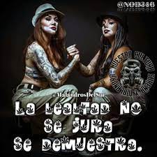 Frases Choleras Malandras Surenas Amor Desamor Nod346 Frases De Cholos Frases Malandras Frases Dentro de esa gran lista de cosas está la de buscar: frases choleras malandras surenas