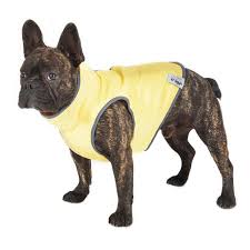 Take his image everywhere you go, emblazoned on your coffee mug, umbrella and jewelry. 18 Best Summer Dog Accessories For 2018 Australian Dog Lover