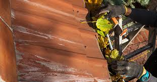 This is also true for autumn when all the leaves and foliage starts to fall. Gutter Cleaning Faqs Leaffilter