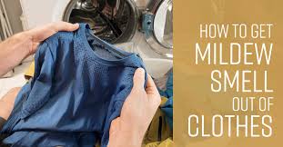 You don't want to disrupt the fibers of the garment permanently. How To Get Mildew Smell Out Of Clothes Simple Green