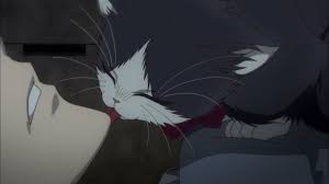 Pin By Lissa Villagra Mora On My Roomate Is A Cat Anime Anime Animals Anime Cat