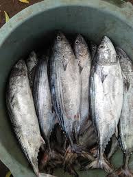 Traditional telur pindang however, also use teak leaves, guava leaves, shallot skin (yes. Pindang Cem Blue French Horn Estynadya Twitter Join Facebook To Connect With Pindang And Others You May Know Shjbmas
