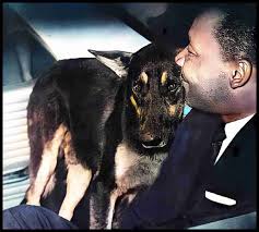 Martin Luther King Jr. was a leading influence