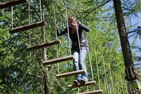 Go Ape At Whinlatter Forest Park Go Ape Bassenthwaite Lake Lake District