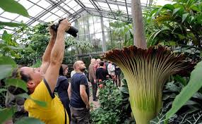 Garten wien österreich prontopro aufsperrdienst 1050 wien gebäudereinigung ryda staubwölkchen living garden gartengestaltung himmel und erde elektriker, renovierung. Die Grune Apotheke Freilandausstellung Im Botanischen Garten Wien Zeigt Arzneipflanzen Vienna Online