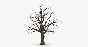 3 Old Dead Trees C4d Fantasy Tree Tree Silhouette Spooky Trees