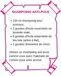 Epingle Sur Linu