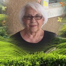 Why are my aloe plant tips chafing with morning sun and watering 2 times a  week?