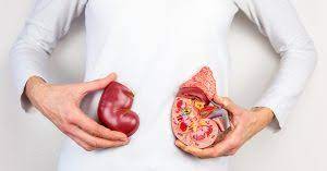 Can You Reverse Kidney Damage Durham Nephrology Associates Pa