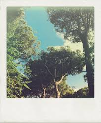 Spiritual love is the kind of love that inspires you to absorb and think about every single thing around you that up until now has been meaningless to you. Simply Consciousness The Spiritual View On Intimate Relationships