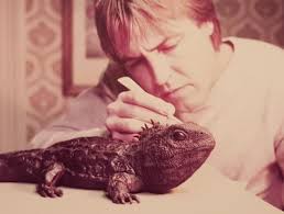 Dawn Chorus 139 November 2024 by Supporters of Tiritiri Matangi