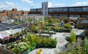 See more ideas about rooftop garden, outdoor, backyard. Supermarket Rooftop Gardens An Exercise In Community Building
