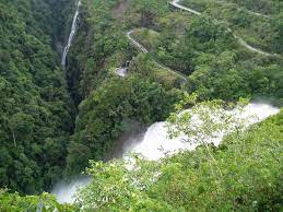 Waktu yang dihabiskan sekitar 40 menit menggunakan kereta wisata kebun raya purwodadi, merupakan tempat wisata pasuruan yang didirikan sejak tahun 1941. Triptrus Exploring Wonderful Indonesia