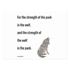 Jungle Book Strength Of The Wolf Quote Print Postcard Zazzle Com Quote Prints Wolf Quotes Jungle Book