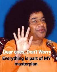 Interconnectedness of peas and nature's cycles