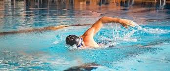 Image result for ‫کرال سینه‬‎