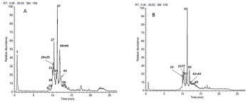 Image result for Aeschynomene elaphroxylon