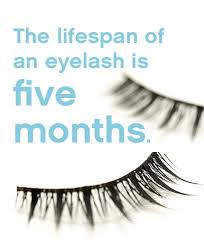 Vsp Provides Eye And Vision Care Benefits To 64 Million Members Eye Facts Eye Care Fun Facts
