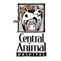 We did not find results for: Central Animal Hospital St Petersburg Fl Linkedin