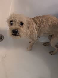 Let's welcome our new members! Brian Dominguez, Freda Rodriguez, Stephani  Forman, Ariana Dominguez, Jill M Brown, Karen Baker, Cyndi K Dayish, Holly  Randolph Platt, Mackenzie Pearson, Vicki Suarez DeLoach