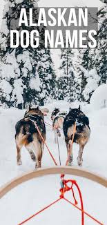 Demon came to me because of that movie snow dogs i have a husky its a female i don't know what to name her its really hard to find names for huskies. Alaskan Dog Names Over 200 Ideas For Naming Your Pooch