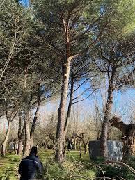 Camping del sole il parco vacanze sul lago di iseo. Camping Valdisole Bolsena Home Facebook