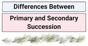 12 Differences Between Primary And Secondary Succession In 2020 Secondary Succession Primary Succession Primary