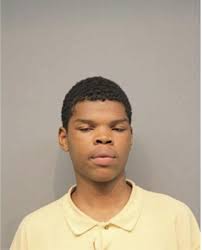 ᐅ Illinois Criminal Records 2009-2025