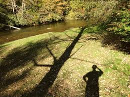 Community Milestones