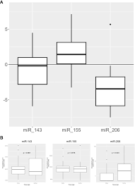 Frontiers | KRAS-related miR-143 expression is associated with lymph node  involvement and correlates with outcome in pancreatic adenocarcinoma  patients