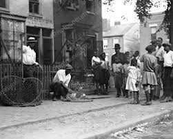 Black And White Crowd Photography Dog Catcher W Dog In Net Black Crowd 8x10 Reprint Of Old Photo Old Photos Black And White Photography Vintage Photography