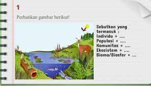 1perhatikan Gambar Berikut Sebutkan Yangtermasuk Individupopulasikomunitasekosistem Bioma Biosfer Brainly Co Id