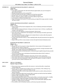 Business Development Associate Resume Samples Velvet Jobs